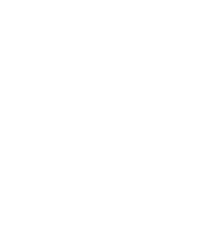 logo O'Prestige
